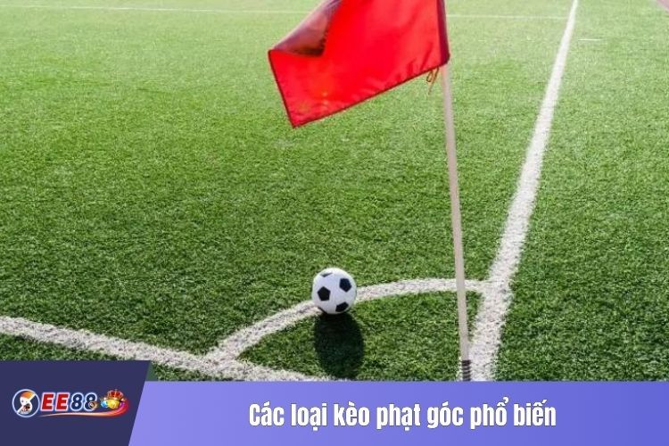 Các loại kèo phạt góc phổ biến