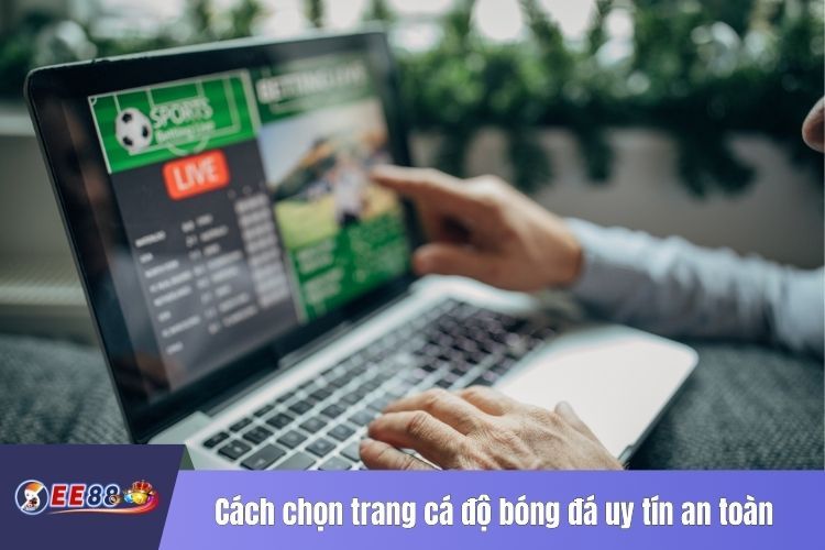 Cách chọn trang cá độ bóng đá uy tín an toàn