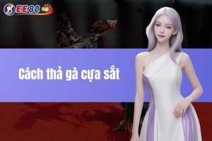 Cách thả gà cựa sắt đúng chuẩn sư kê không thể bỏ lỡ