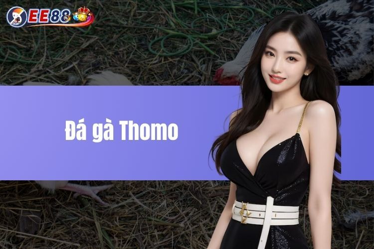 Đá gà Thomo - Điểm đến độc đáo có 1-0-2 anh em nên thử