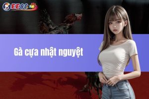 Gà cựa nhật nguyệt - Bí quyết chiến đấu tinh anh tại EE88