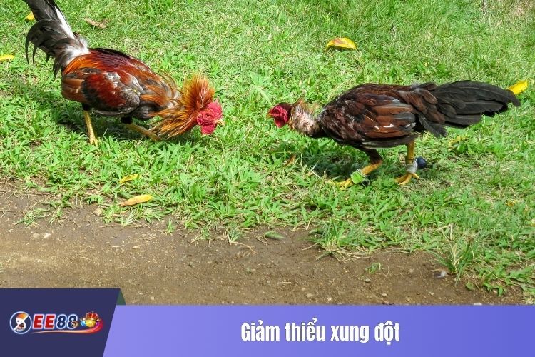 Giảm thiểu xung đột