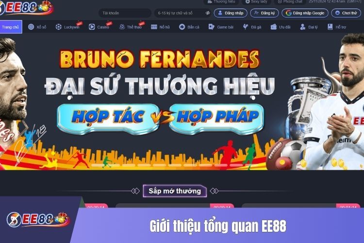 Giới thiệu tổng quan EE88