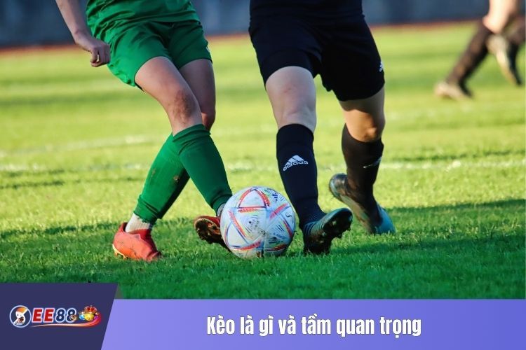 Kèo là gì và tầm quan trọng của kinh nghiệm chọn kèo