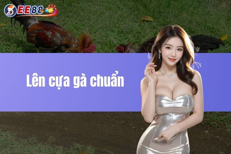 Lên cựa gà chuẩn: Mẹo đơn giản để chiến kê chiếm ưu thế