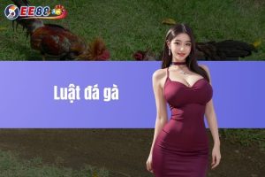 Luật đá gà dành cho các anh em sư kê mới tại EE88