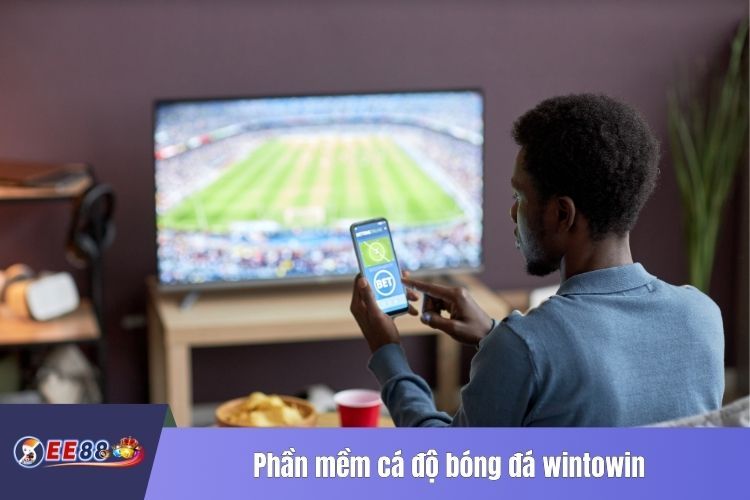 Phần mềm cá độ bóng đá wintowin