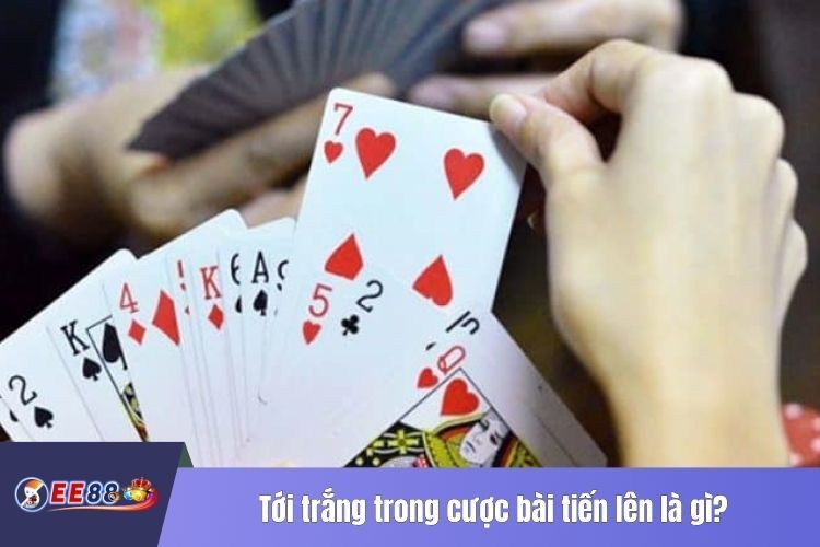 Tới trắng trong cược bài tiến lên là gì?