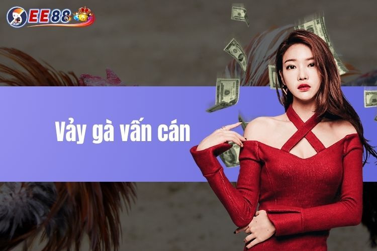 Vảy gà vấn cán - Khám phá các đặc điểm và ý nghĩa 